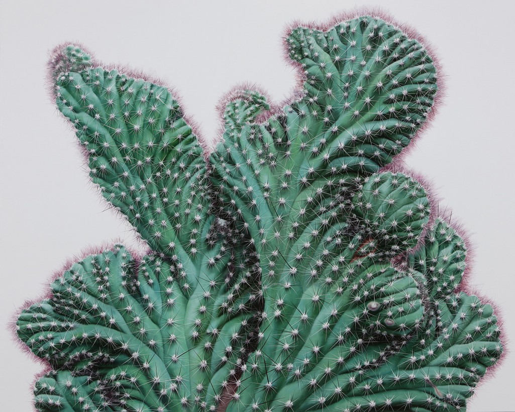 peinture-actus-07