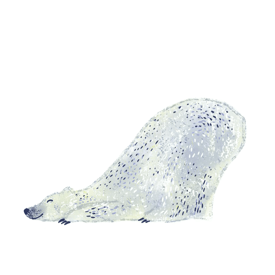 animal-gif--tumblr--dessin-02