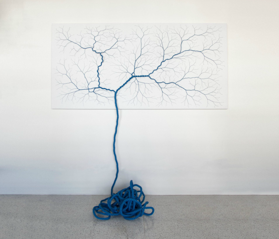 corde-arbre-transformation-01