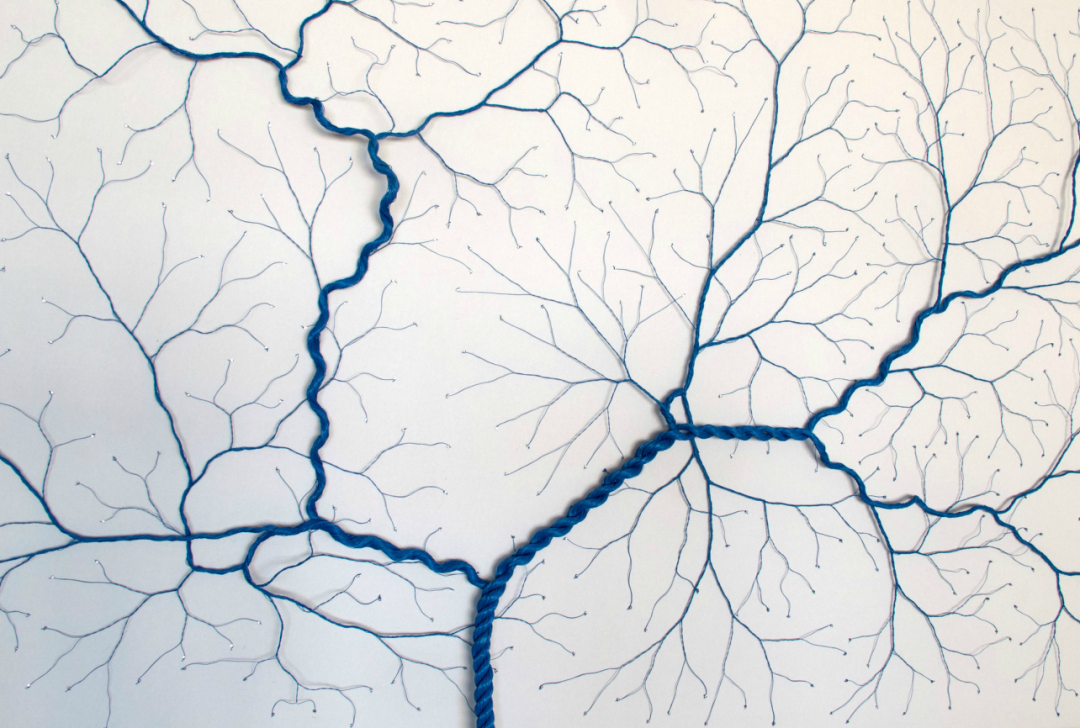 corde-arbre-transformation-02
