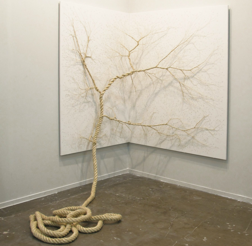 corde-arbre-transformation-03