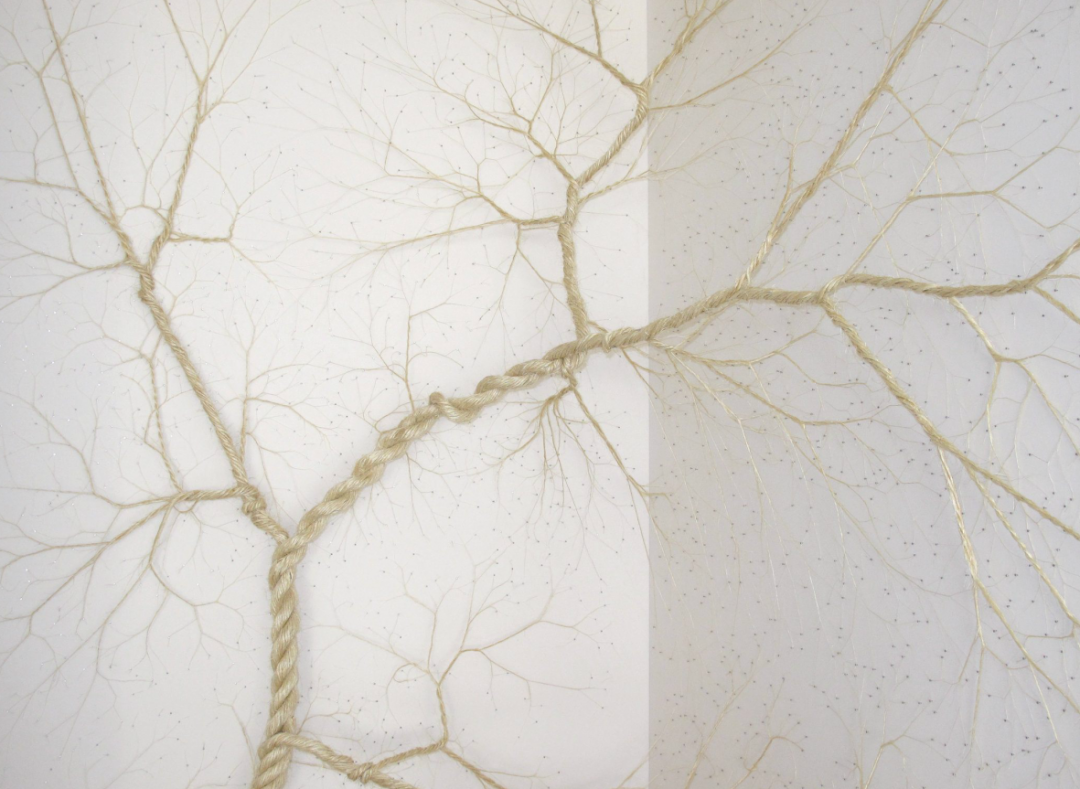 corde-arbre-transformation-04