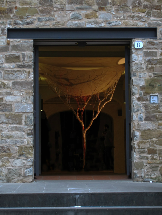 corde-arbre-transformation-05