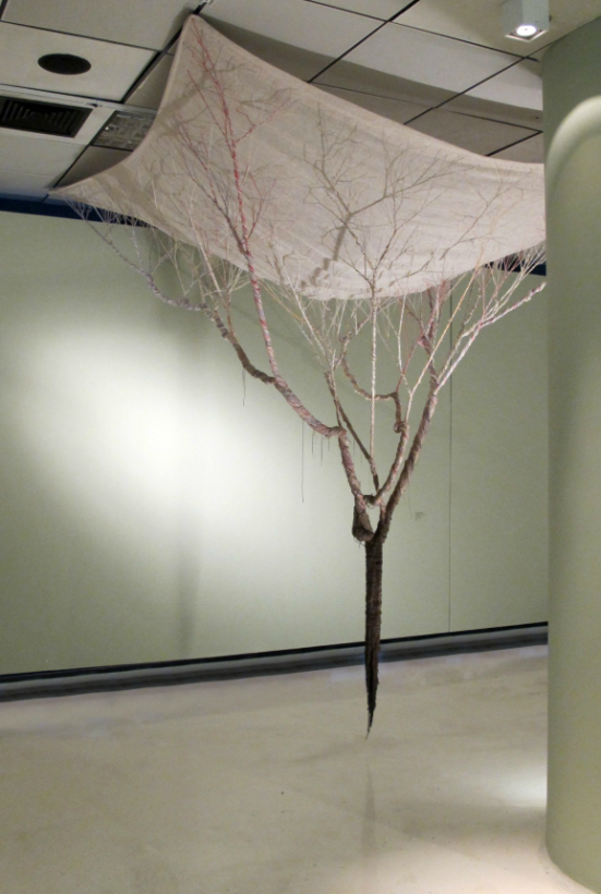 corde-arbre-transformation-07