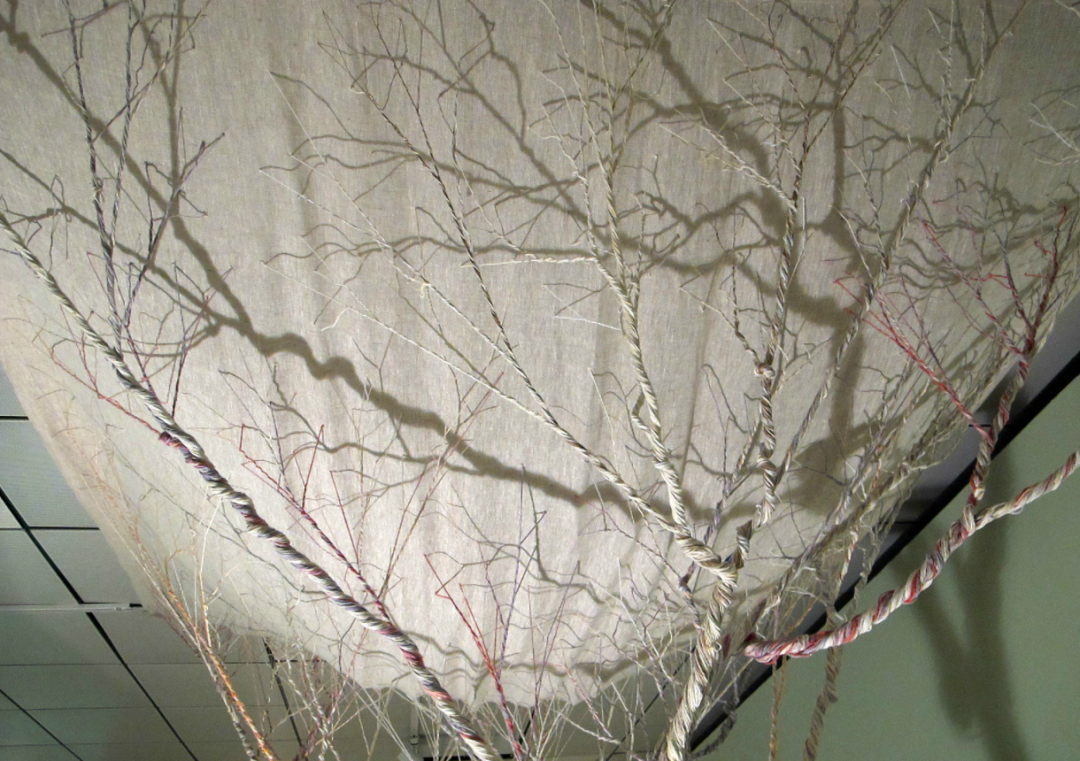 corde-arbre-transformation-08