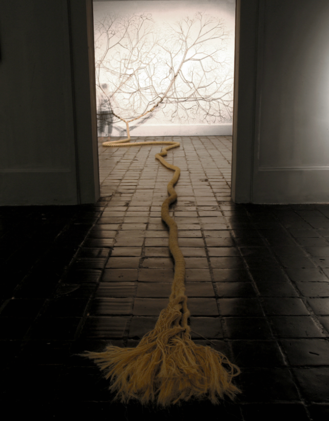 corde-arbre-transformation-09