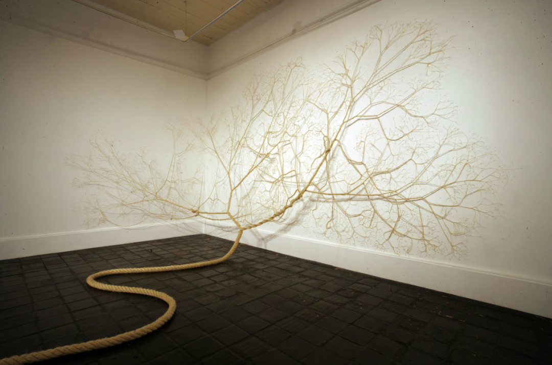 corde-arbre-transformation-10