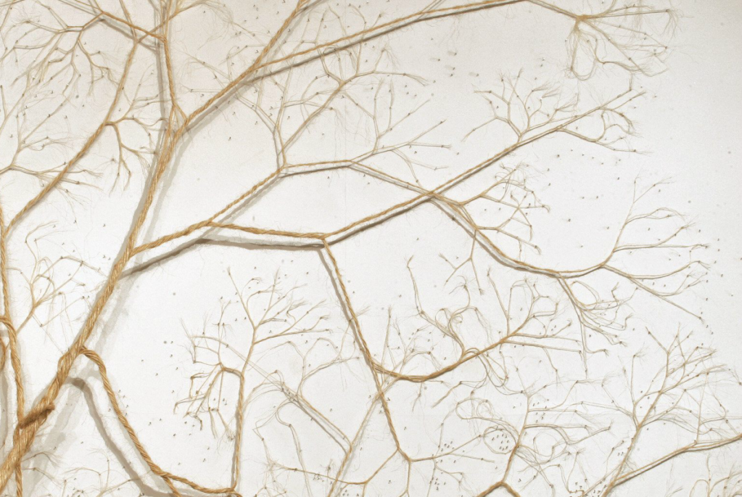 corde-arbre-transformation-11