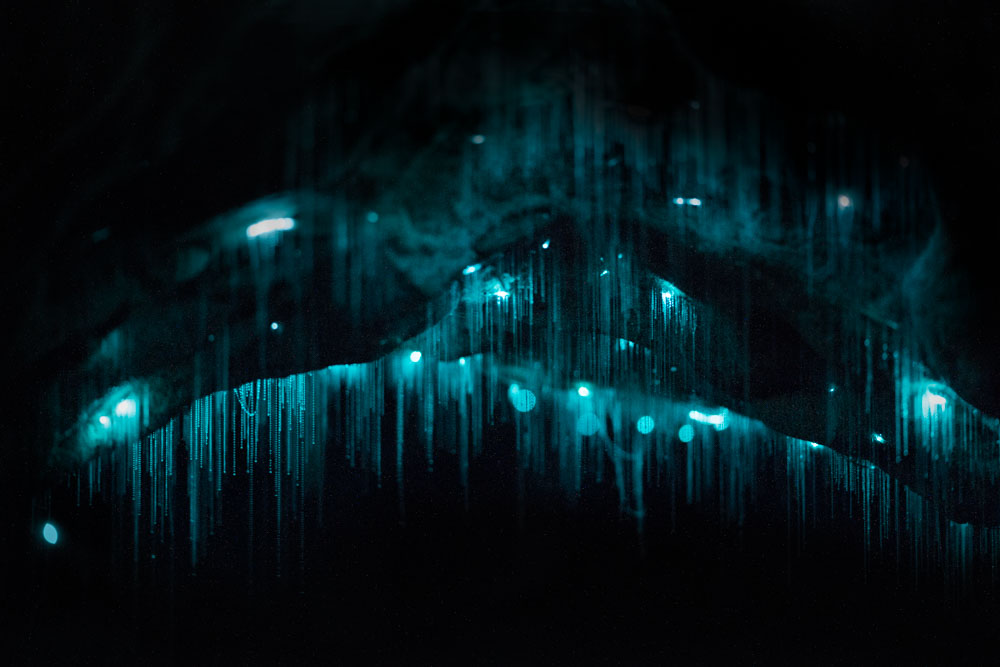 grotte-vers-fluorescent-06