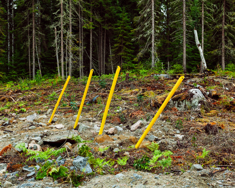 Des traces humaines dans les parcs naturels