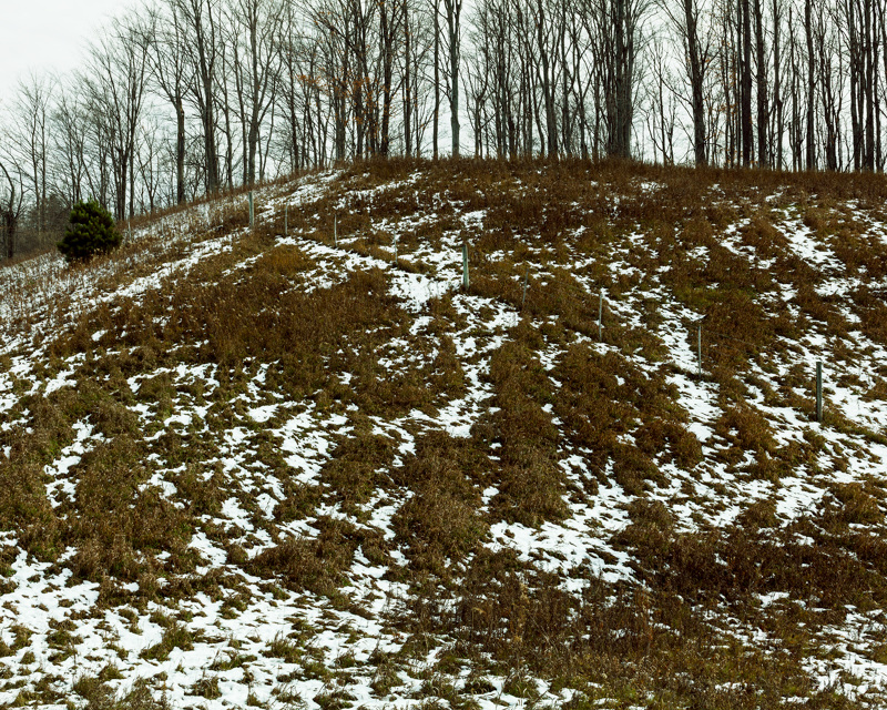 homme-parc-photo-04