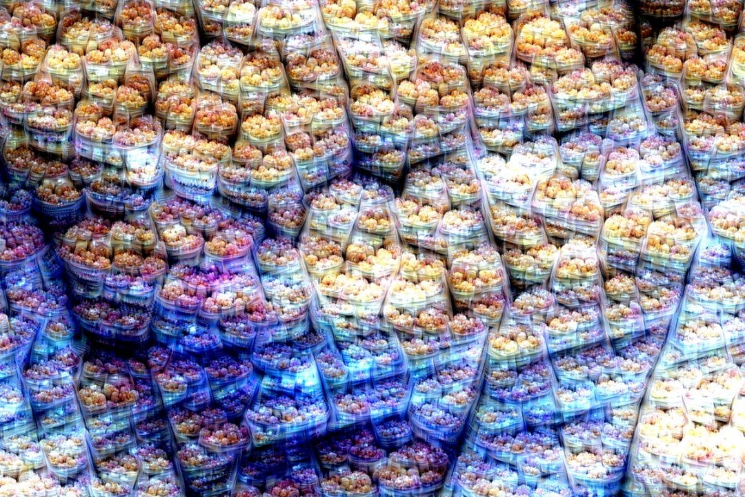 oeuvre-art-neurone-google-14