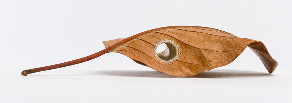 sculpture-feuille-morte-02