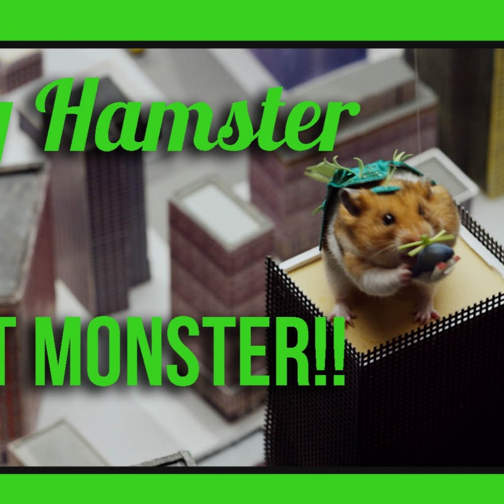 Une ville détruite par un hamster