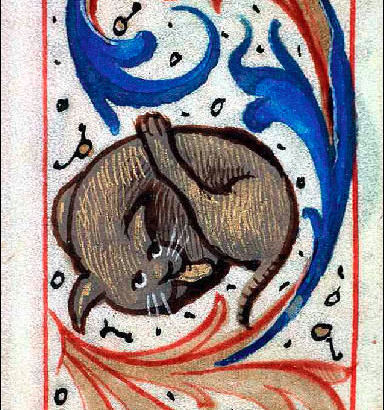 Des chats médiévaux qui se lèchent les fesses