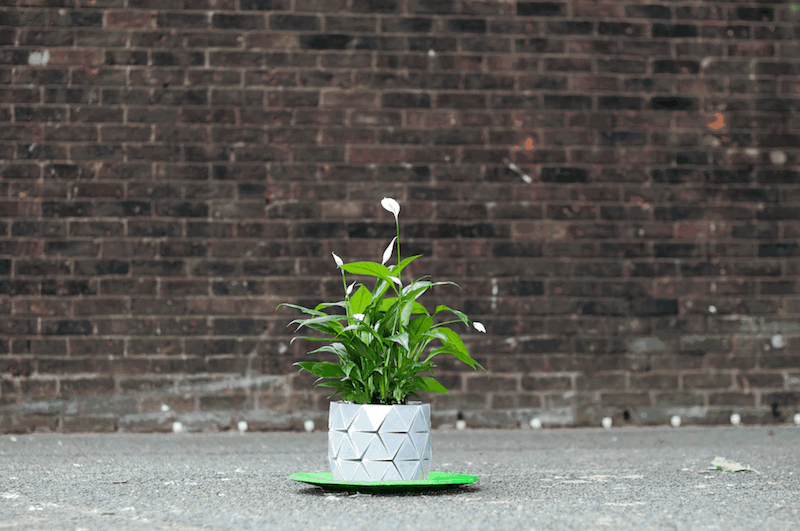 Un pot de fleur origami qui grossit avec sa plante