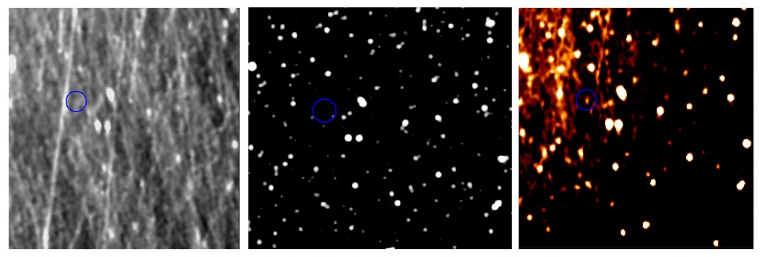 rosetta-pluton