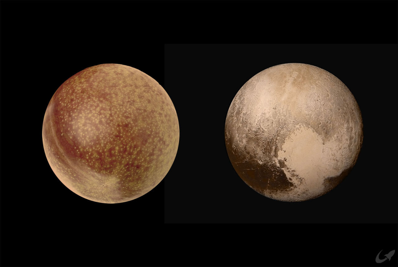 Un pluot et Pluton