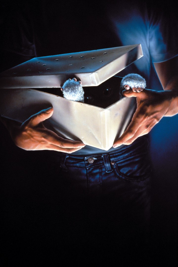 31 - Gremlins