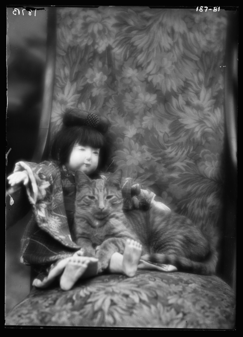 31-arnold-genthe-buzzer-chat-Buzzer-the-cat-portrait-photograph-1912