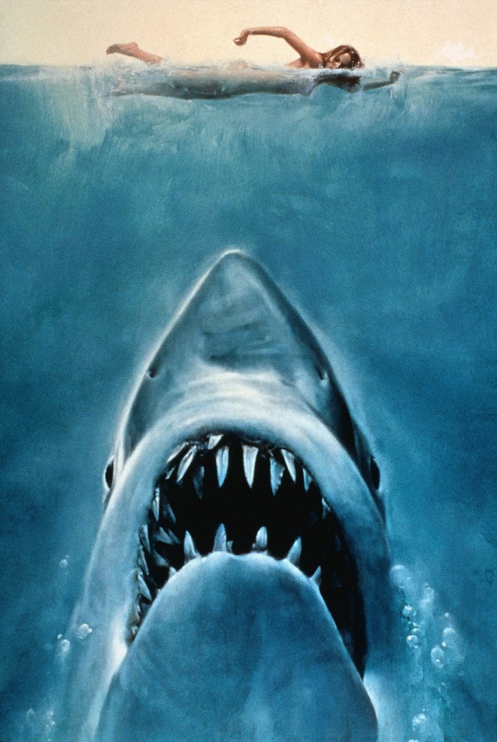 41 - Jaws