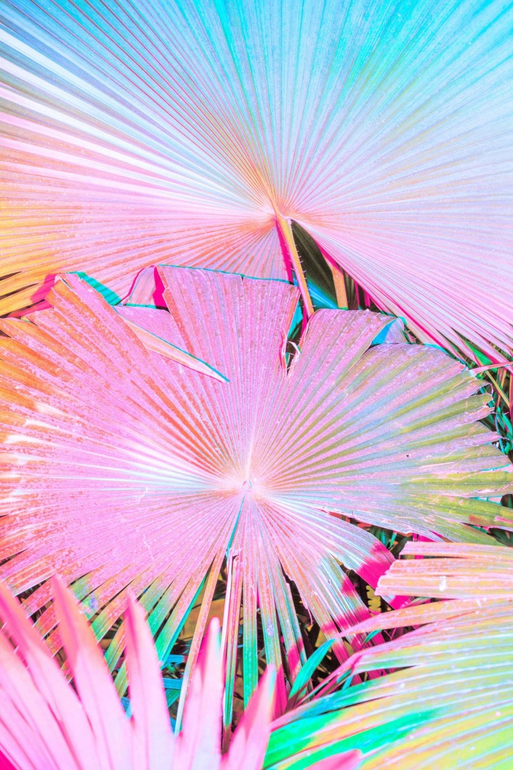 cru-camera-3