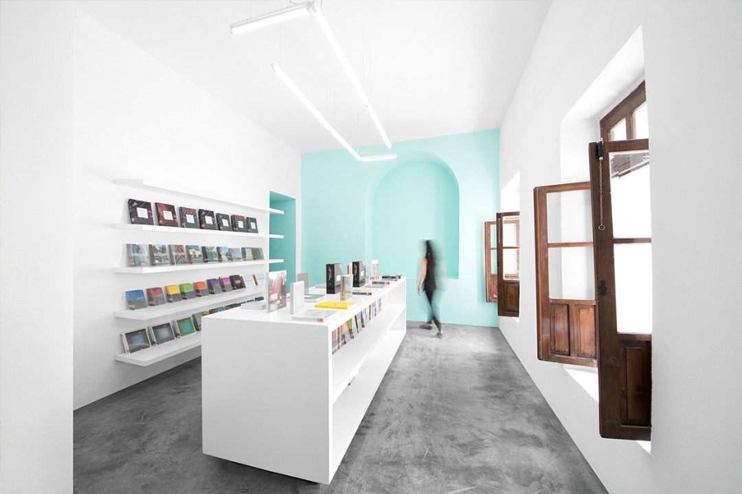 dome-alcove-librairie-08