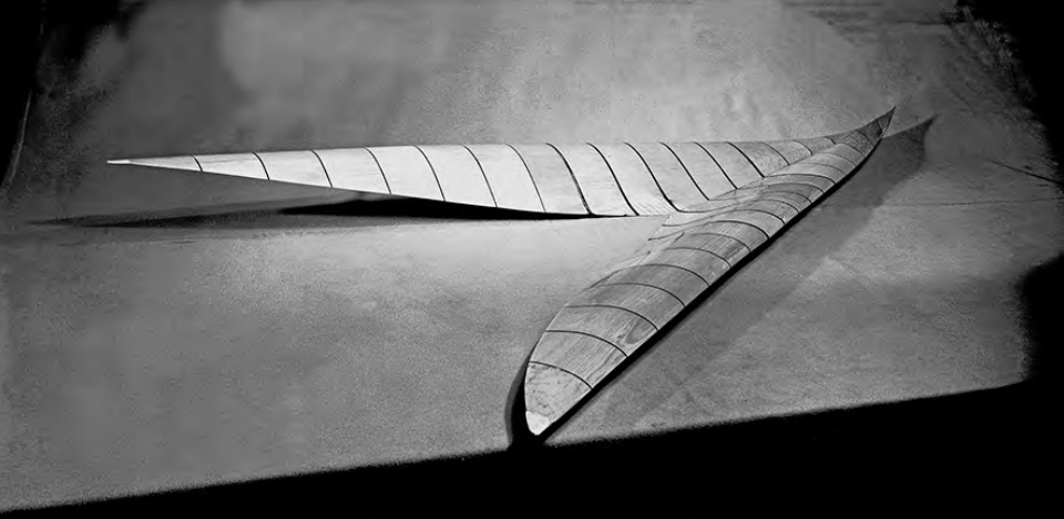 nasa-logo-boomerang-origine