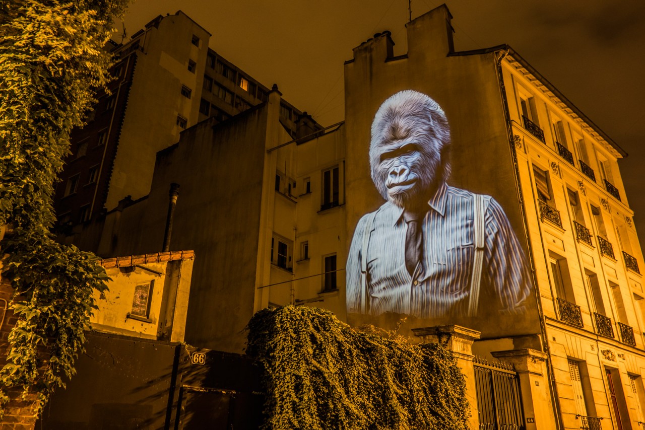 safari-projection-urbaine-paris-15