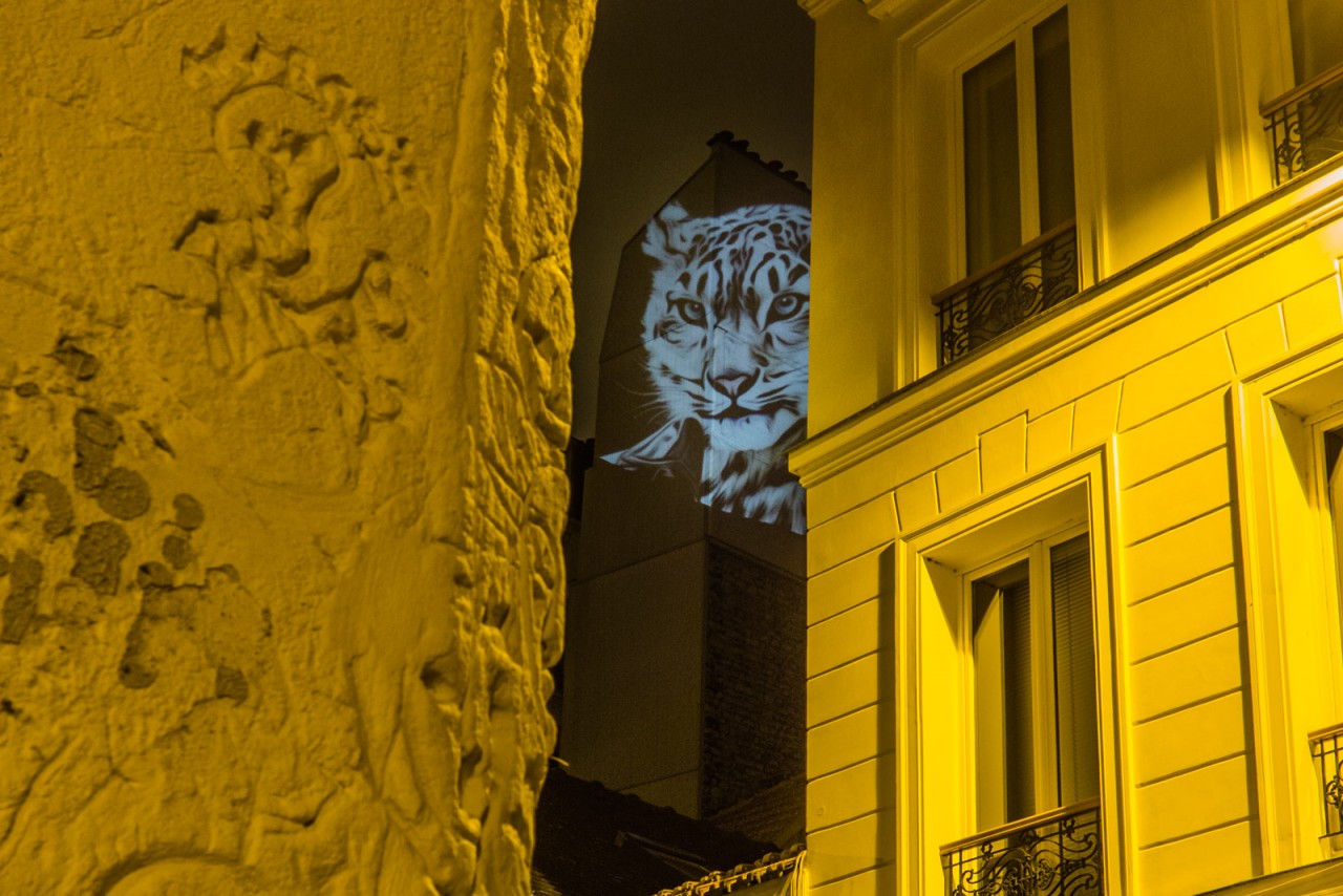 safari-projection-urbaine-paris-16