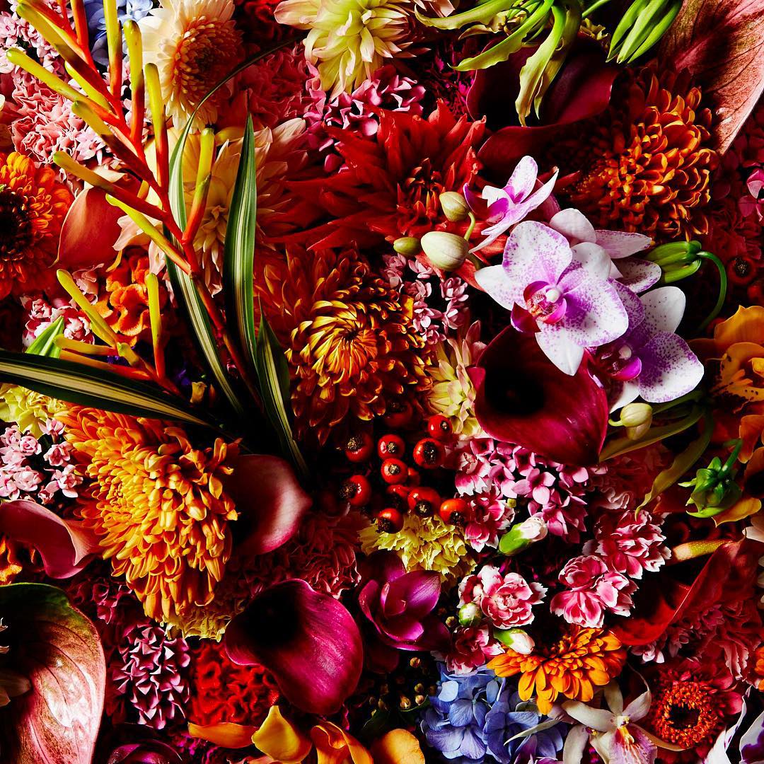 Une explosion de couleurs pour ces compositions florales de Shiinoki Shunsuke