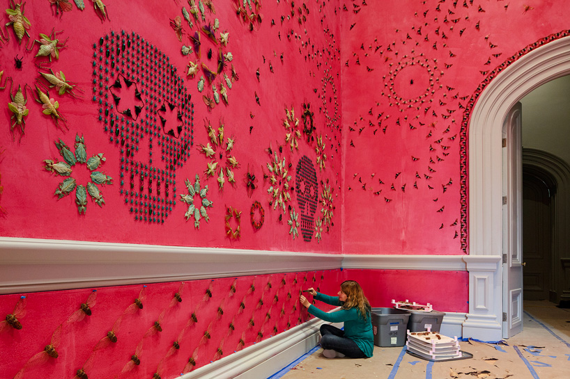 insecte-mur-installation-06
