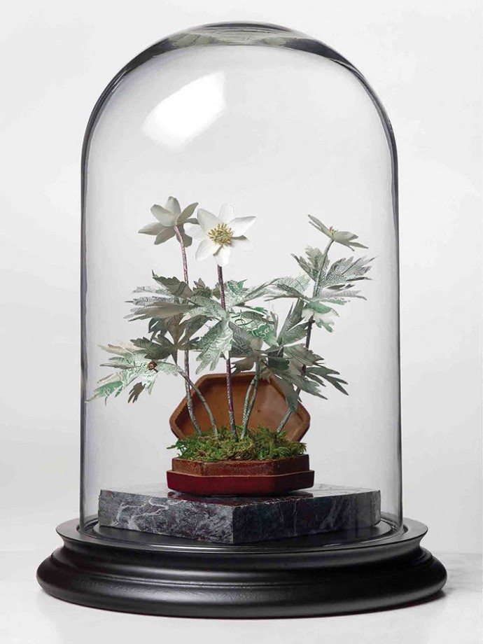 justine-smith-nature-argent-01