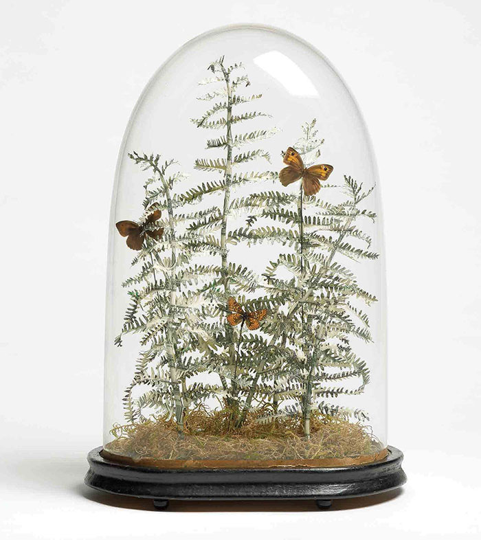 justine-smith-nature-argent-03