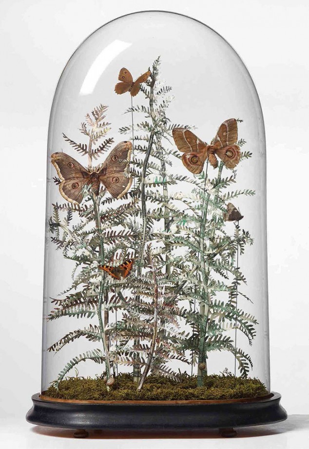 justine-smith-nature-argent-05