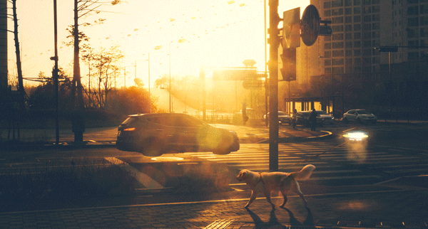 retour-futur-2015-02