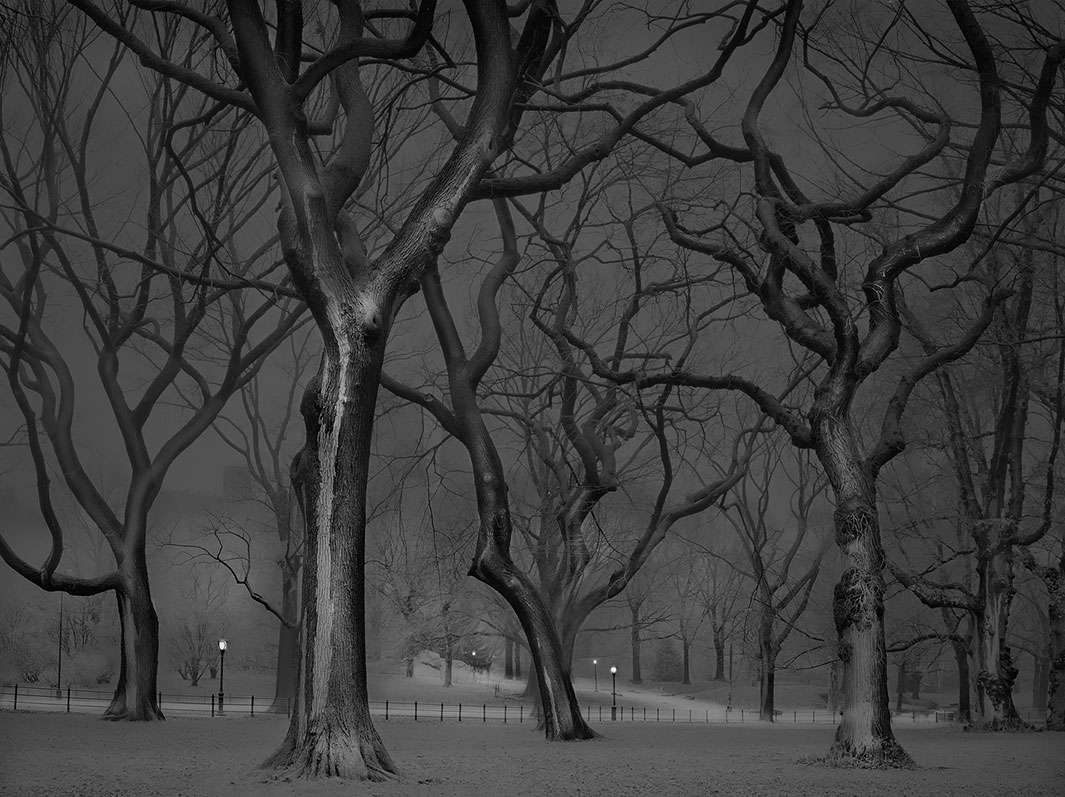 Michael-Massaia-central-park-03