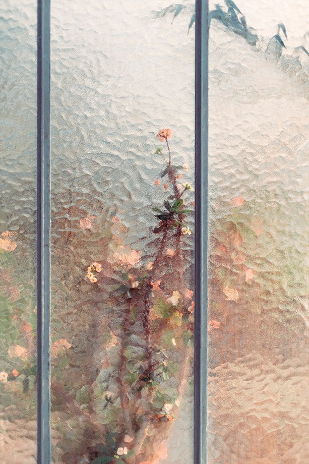 jardin-botanique-photo-02