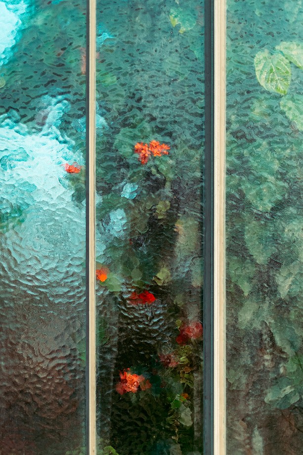 jardin-botanique-photo-03