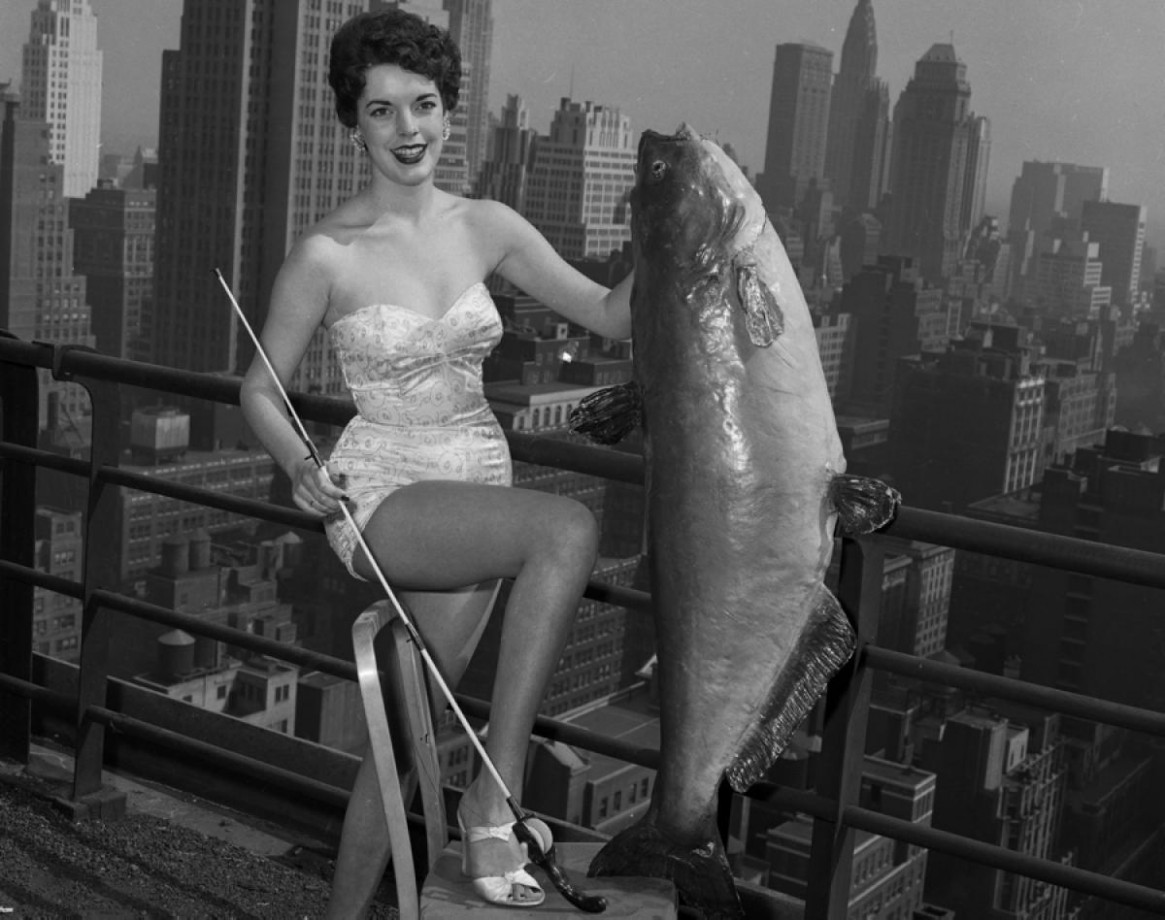 Miss Poisson-chat 1954