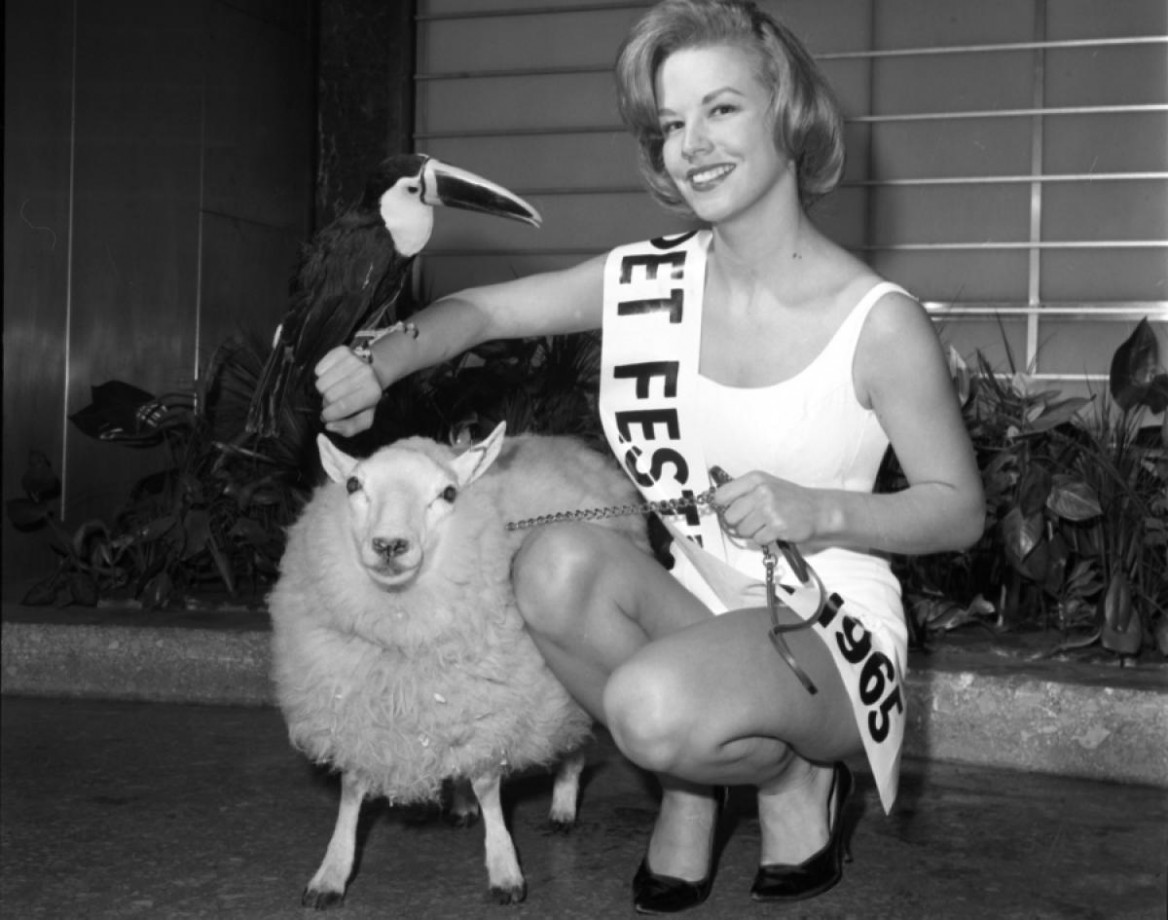 Reine du festival des animaux 1964