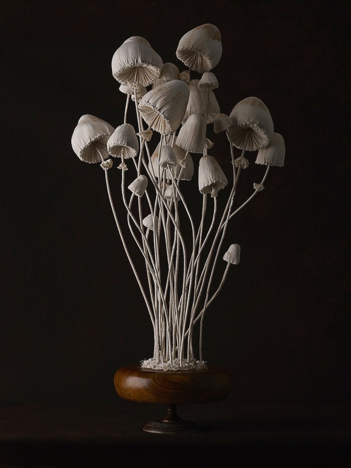 champignons-textiles-10
