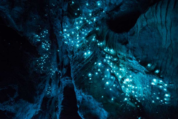 grotte-vers-fluorescent-bo
