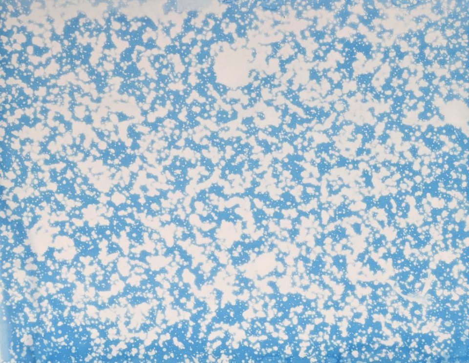 Eva Aurich photogramme la pluie en cyanotypes