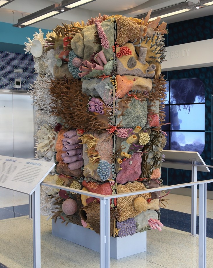 sculpture-recif-corail-ceramique-07
