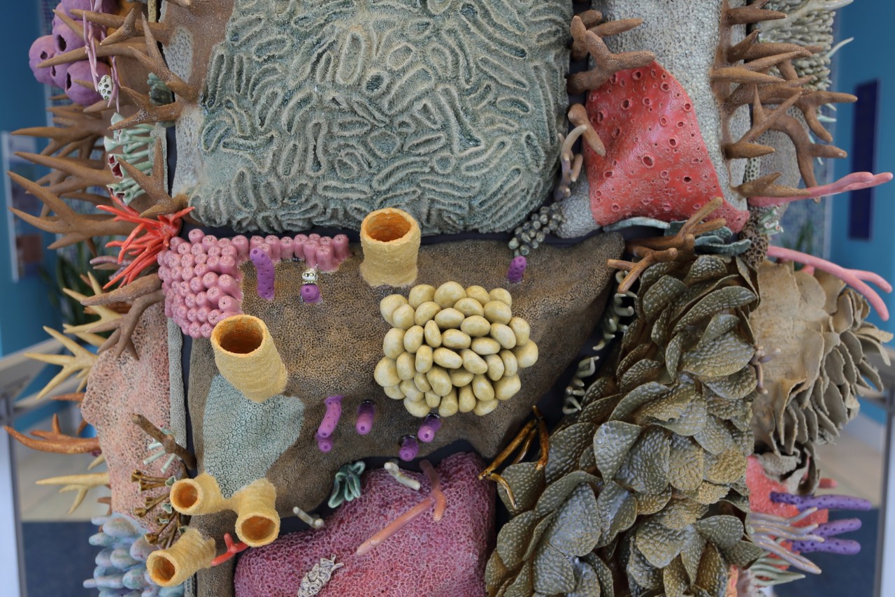 sculpture-recif-corail-ceramique-08