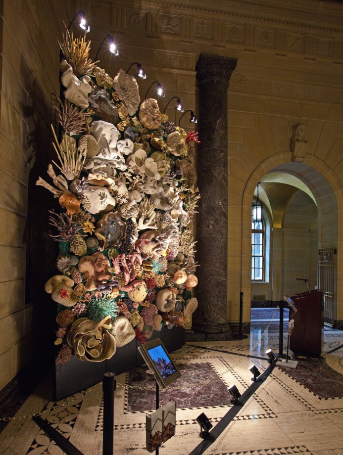 sculpture-recif-corail-ceramique-10