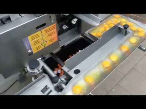 La machine à casser et séparer les oeufs