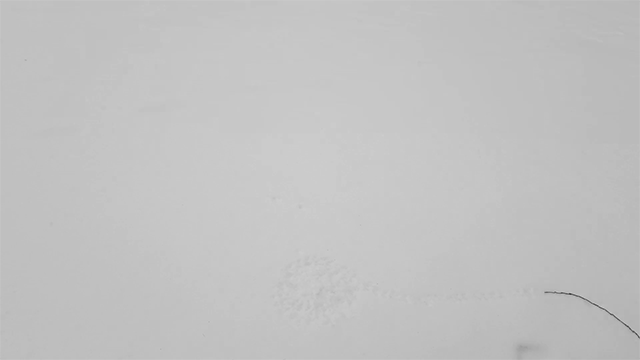 land-art-animation-03