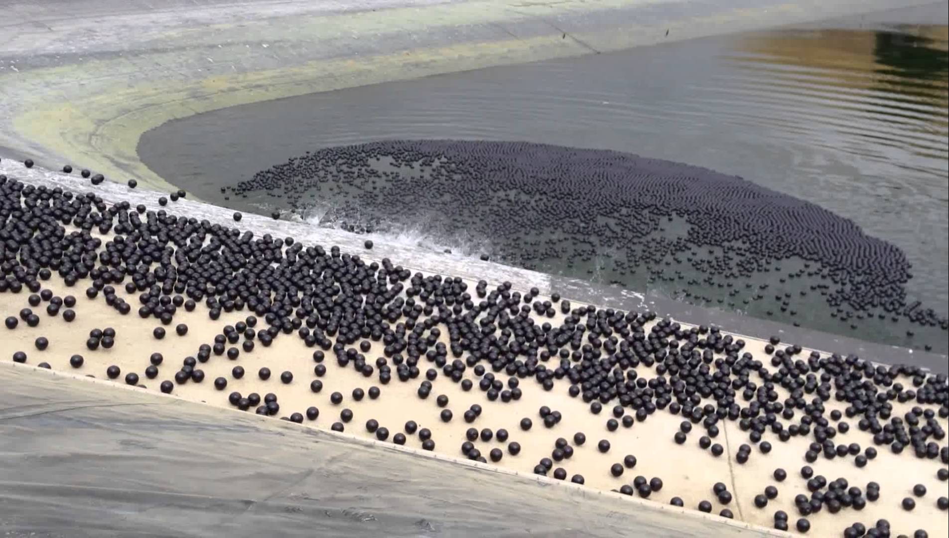 96 millions de balles noires dans un réservoir de Californie